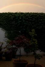 Vasos e o arco-íris