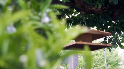 Alimentador para pássaros