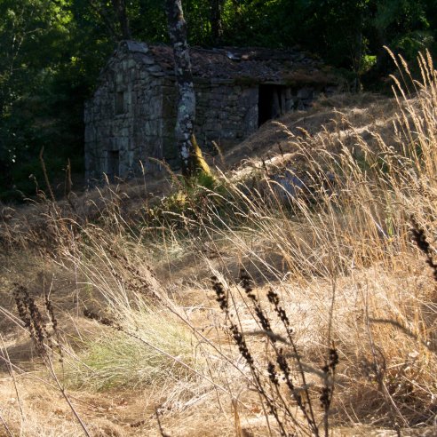 Palheiro, Lameiro da Gracia