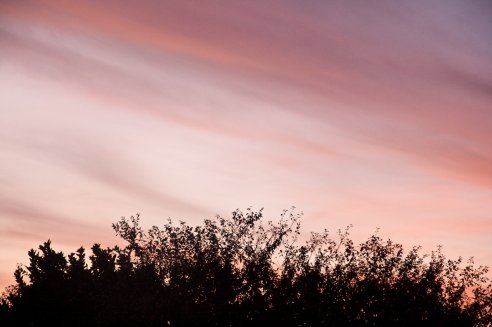 Fim da tarde, em meados Outubro