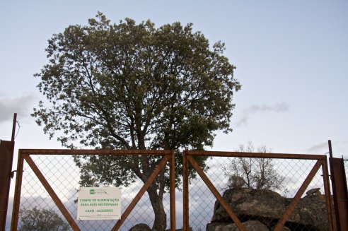 Centro de Alimentação de Aves Necrófagas
