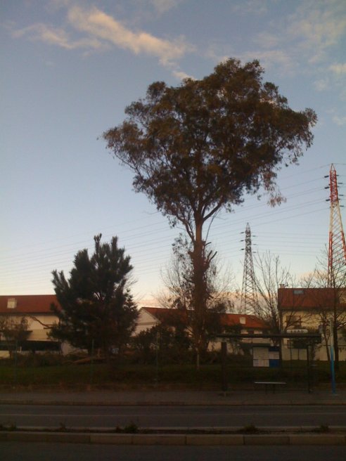 Urbanização das Sete Bicas