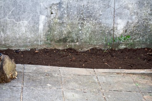 Canteiro já com outro aspecto