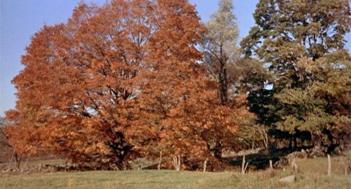 The Trouble With Harry