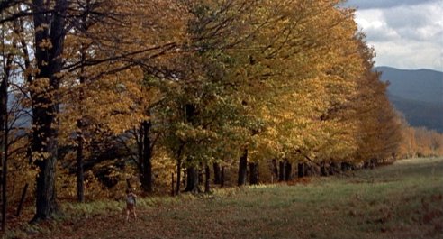 The Trouble With Harry