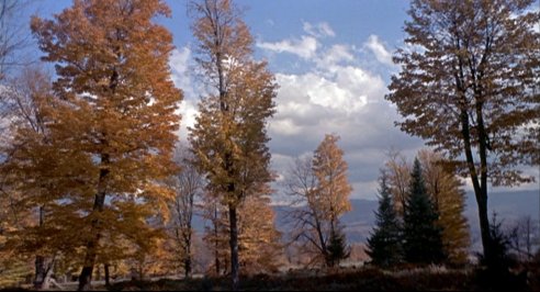 The Trouble With Harry