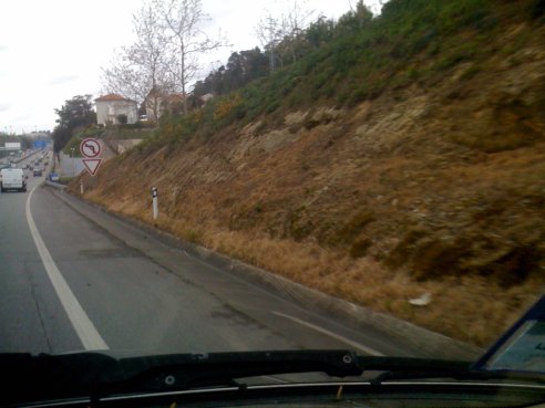 Herbicidas nos taludes de Matosinhos