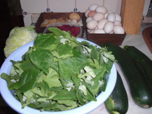 Colheita de Rosa Coutinho