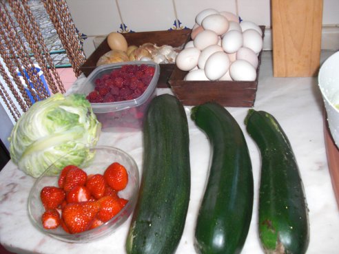 Colheita de Rosa Coutinho