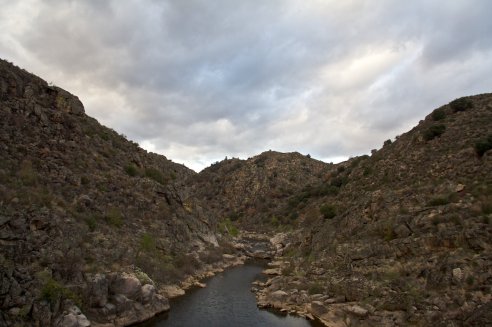Reserva da Faia Brava