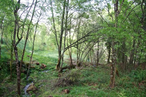 Tapada e Lameiro da Gracía