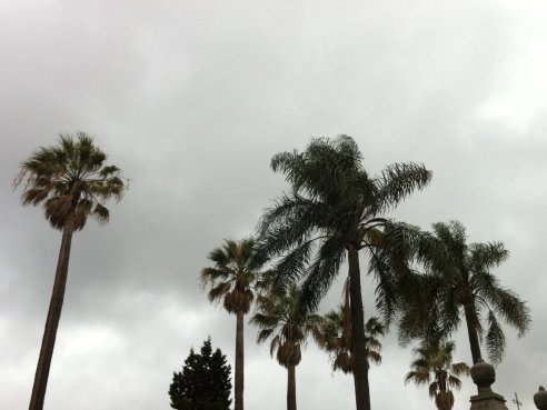 Cemitério do Prado do Repouso