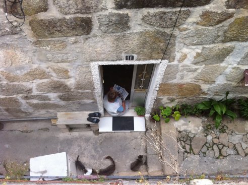 Habitantes da escarpa