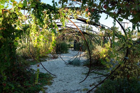 Festival de Jardins de Ponte de Lima