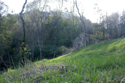 Carvalho no Lameiro da Gracía