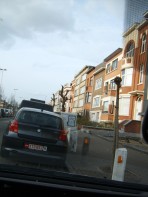 Árvores de Bruxelas