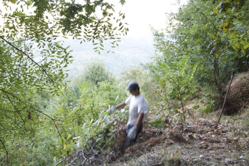 Técnica avançada para comprimir pilhas de detritos vegetais