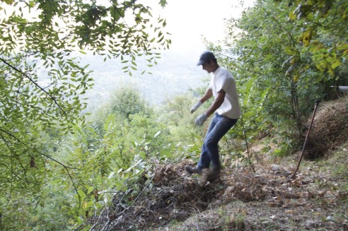 Técnica avançada para comprimir pilhas de detritos vegetais