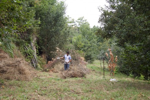 O início da limpeza às 16h19