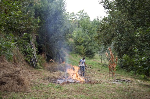 Durante a limpeza às 17h45