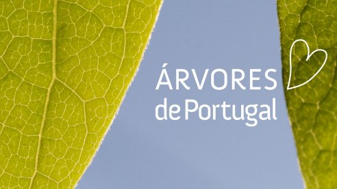Árvores de Portugal