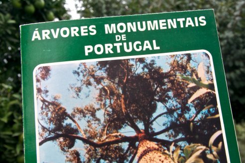 Árvores Monumentais de Portugal