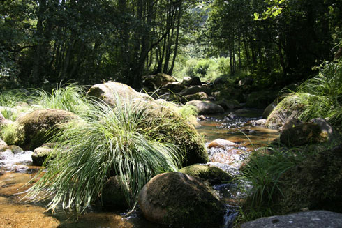 Onde o Barrondes desagua no Bestança