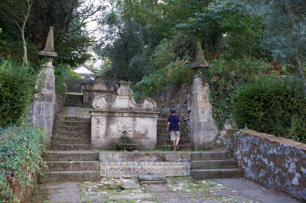 Cerca do Mosteiro de S. Martinho de Tibães