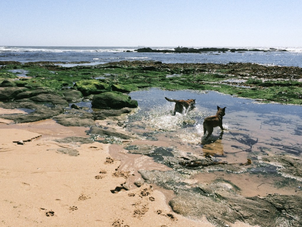 Praia do Cabo do Mundo