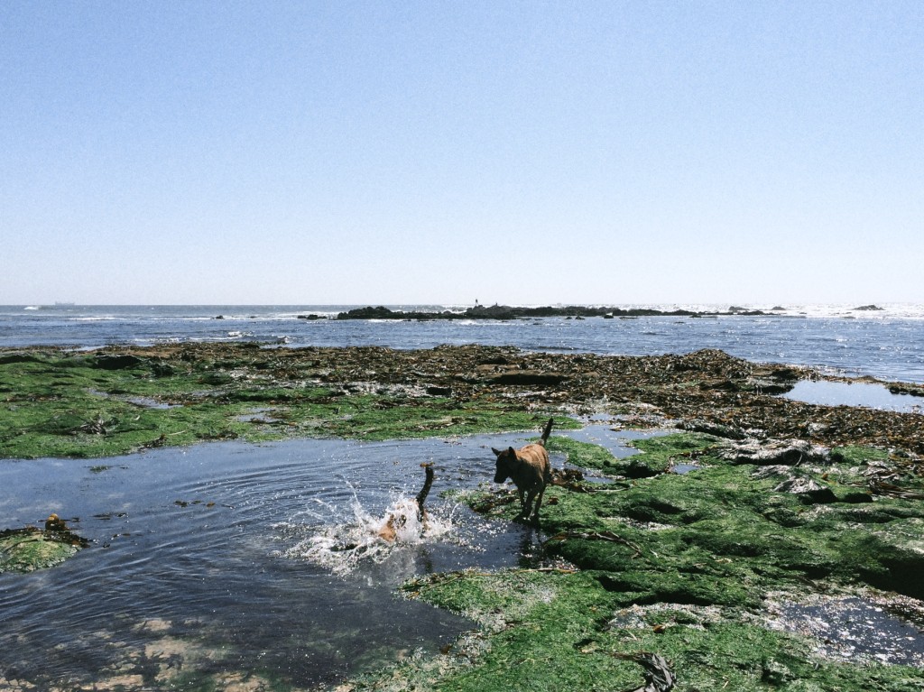 Praia do Cabo do Mundo