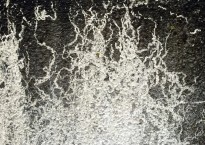 Trilhos de caracóis