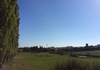 Cantinho das Aromáticas