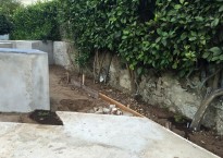 Rosmarinus officinalis prostratum 'Capri'