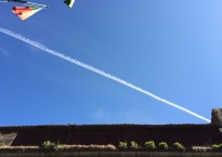 Rua das Flores, Porto