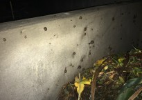 Caracóis nos compostores