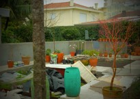 Jardim da Estação Velha