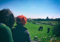 Cantinho das Aromáticas