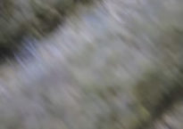 Einsturzende Neubauten