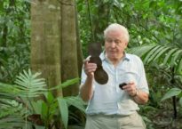 Sir David Attenborough