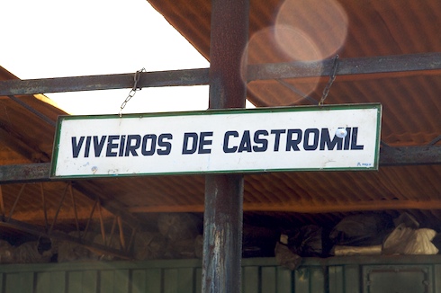 Viveiros de Castromil